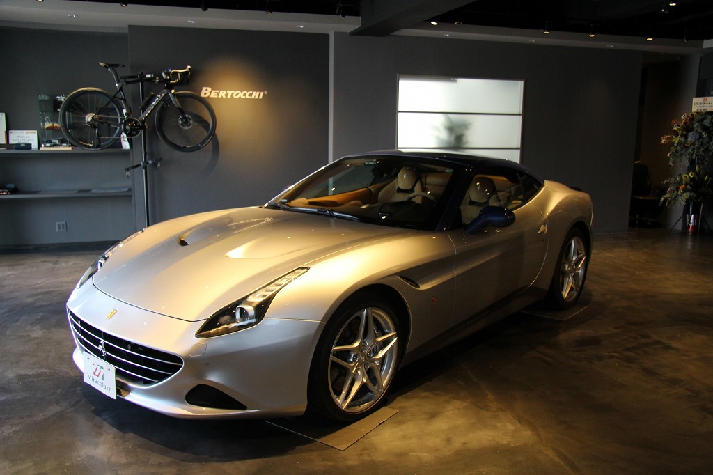 カリフォルニアT (74).jpg